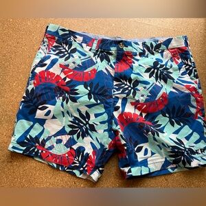 Tommy Hilfiger (Size 40) Blue Red Leaf Pattern Shorts Cotton Preppy